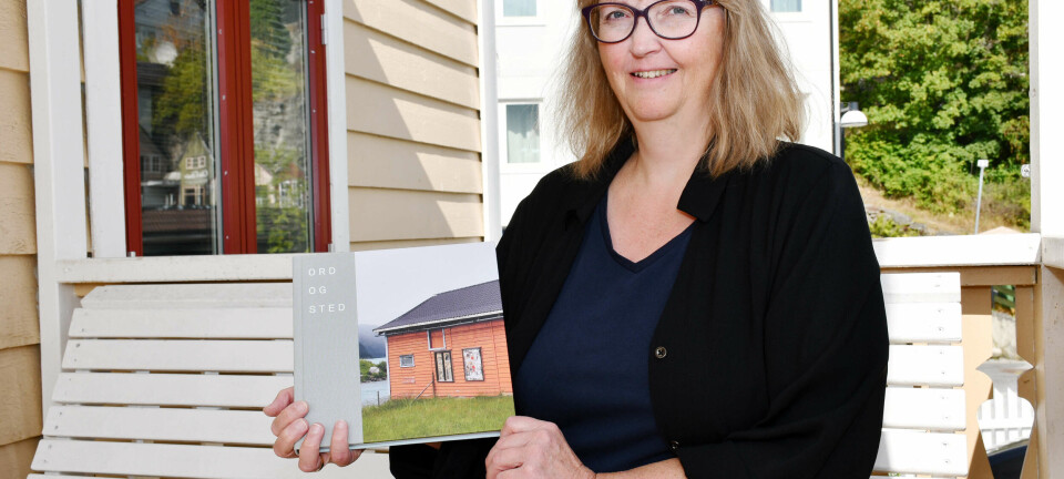 Kunstnarstipend til Skarrebo Holmen