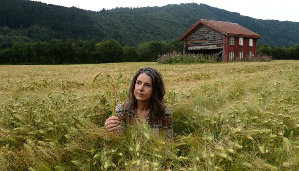 Jenny Klinge, stortingsrepresentant Senterpartiet.