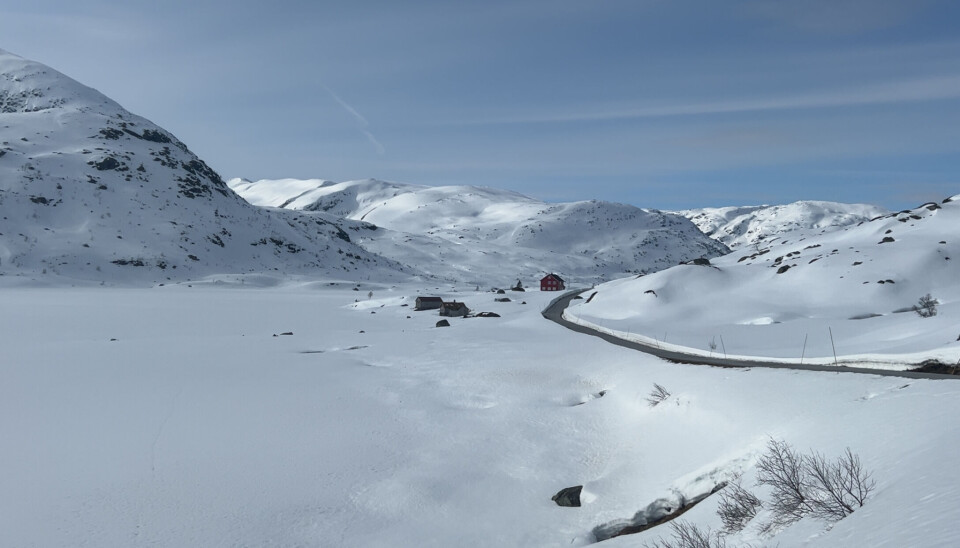 Frå fv. 613 Gaularfjellet 9. april i år. Frå fv. 613 Gaularfjellet 9. april 2025.