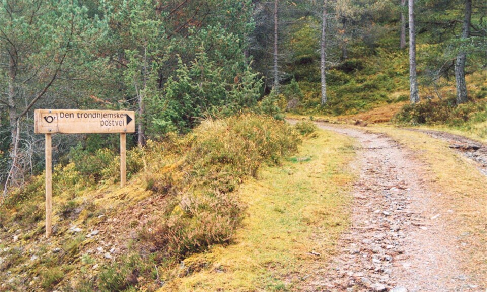 Det er skilta fleire stadar langs Den trondhjemske postvei, som her på Utvikfjellet. Skilting er eit av tiltaka det no kan søkjast tilskot til. Delar av Den trondhjemske postvei på Utvikfjellet.