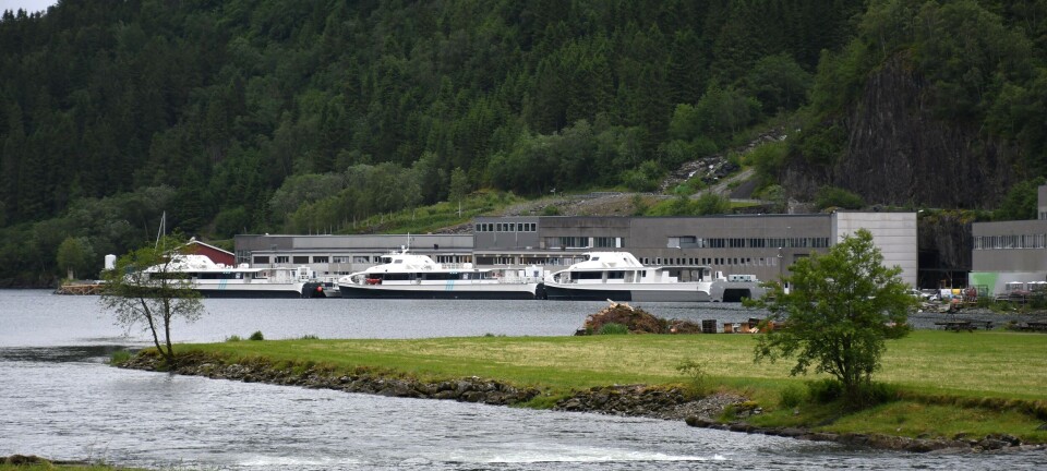 Finnane er ute av biletet, familien vil drive vidare på eiga hand