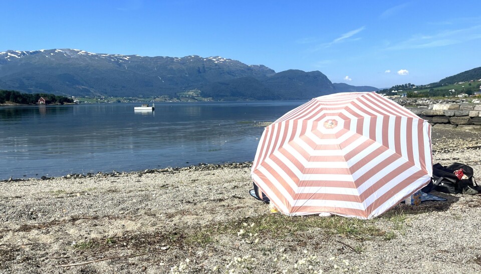 Grandeparken på Sandane onsdag ettermiddag.