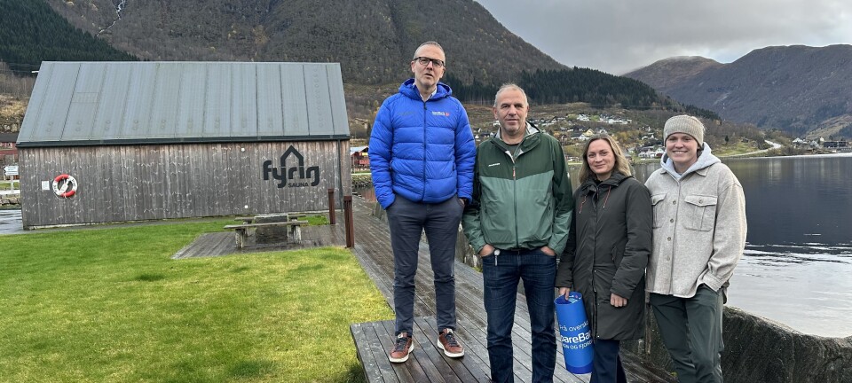 - Til sommaren kan du stupe her