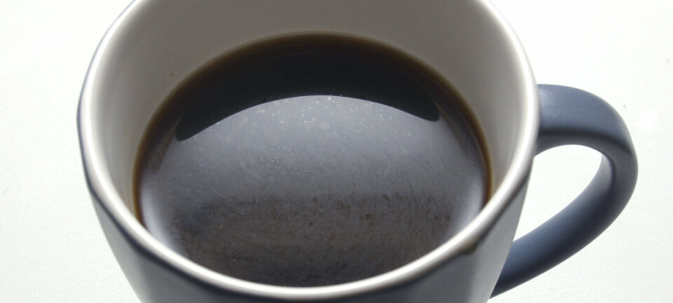 Ville du betalt to dagslønner for ein kopp kaffi?