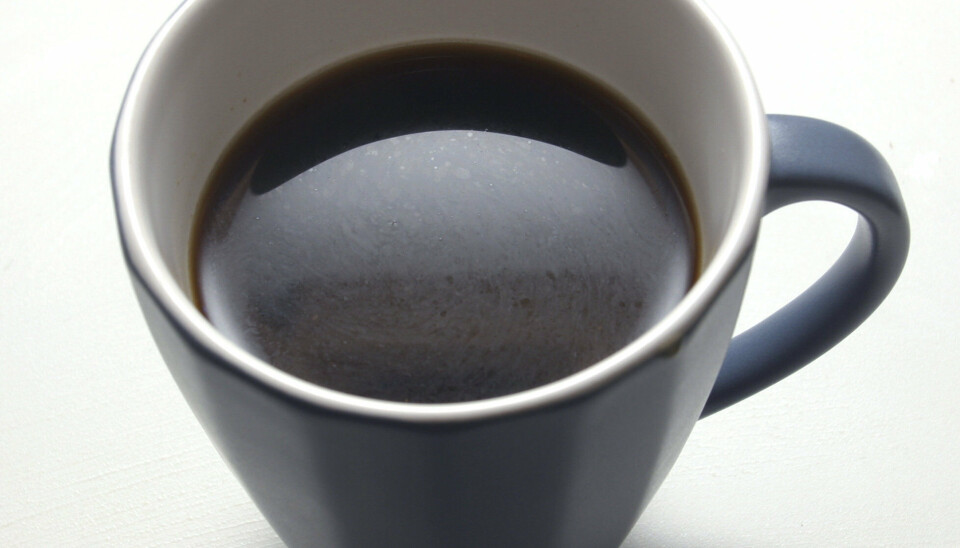 Kaffien er viktig for mange nordmenn, men om prisen hadde vore den same som på Roasters Specialty Coffee House i Dubai er det ikkje sikkert nordmenn hadde vore like kaffitørste.