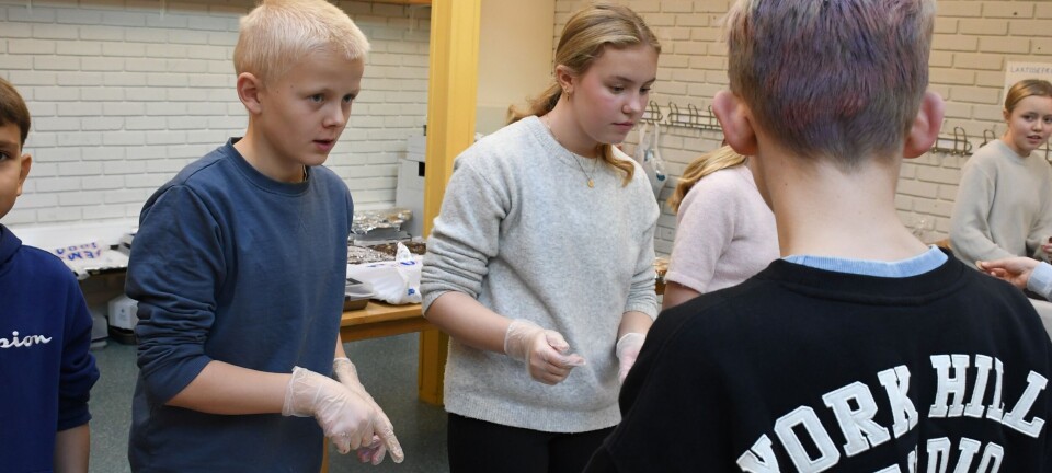 Sandane-elevane stod på for å gi andre barn eit betre skuletilbod
