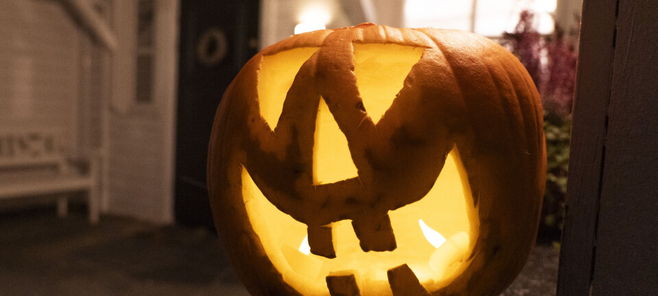 Halloween-graskar skaper bry for avfallsarbeidarane: – Verste årstida