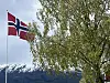 Flagg ved bjørk