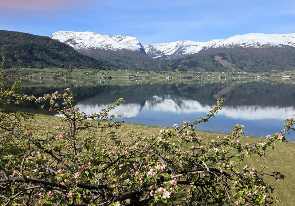 Signe Sande Mai byr på mange flotte motiv