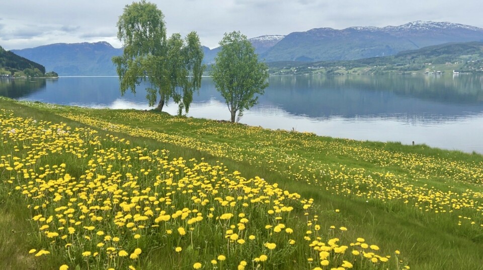 Signe Sande Mai byr på mange flotte motiv